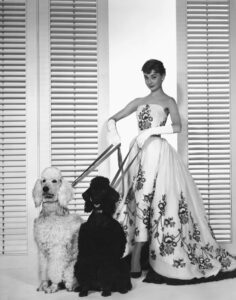 Audrey Hepburn Sabrina